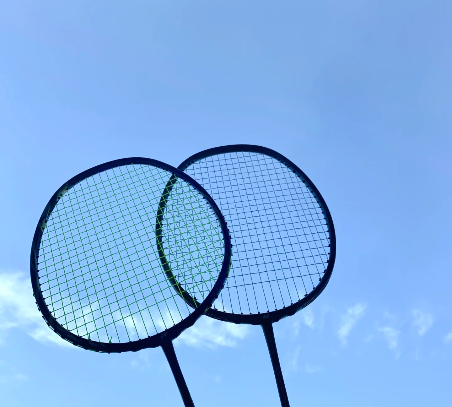 迅速在裁判 迅速在裁判